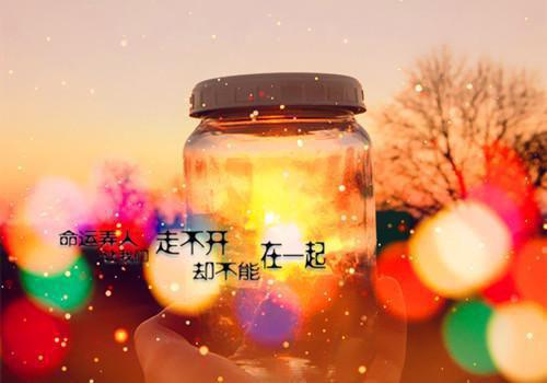 赵远林若涵是什么小说 改嫁痴情神棍竹马后，童养夫他后悔了小屁