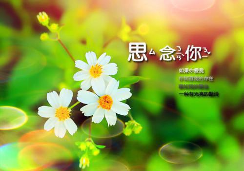 周时逸钟喻染全文免费 周时逸钟喻染在线阅读
