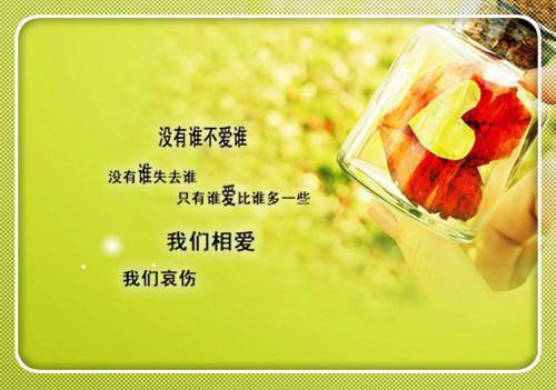宁城小院：八零烟火俏佳人最新更新 李小满王秀英小说在线阅读