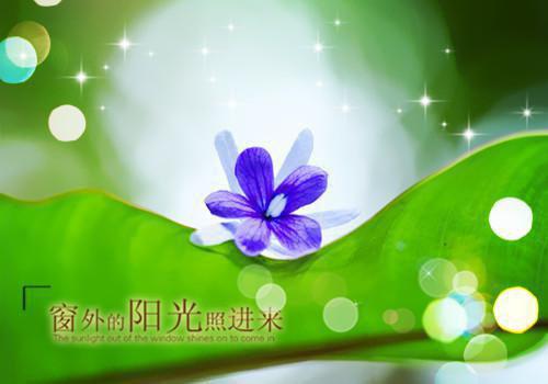 (完整版)小夭赵劼小说免费阅读无广告