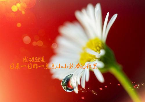 全文浏览爱于燃尽新生爽文（顾云霄孟卿月）_爱于燃尽新生爽文（顾云霄孟卿月）全文结局