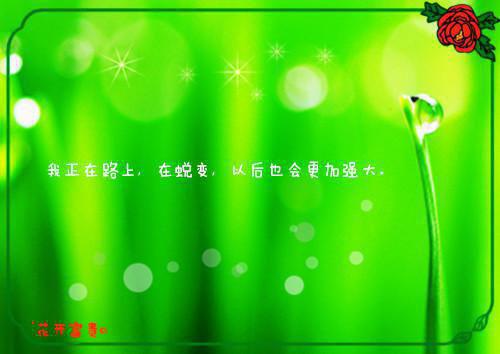 我的健康被校花绑定后，我让她知道什么叫满级学霸小说 我的健康被校花绑定后，我让她知道什么叫满级学霸大大果子