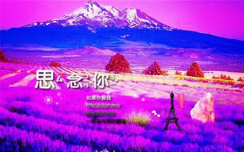 病弱夫君要休妻:结局+番外小说全文免费阅读无弹窗大结局_(沈岁禾陆修尘)病弱夫君要休妻:结局+番外最新章节列表_笔趣阁(沈岁禾陆修尘)