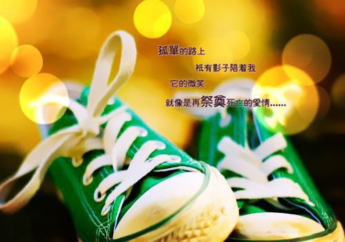 沉渊不见月在线阅读 顾砚沈秋月小说