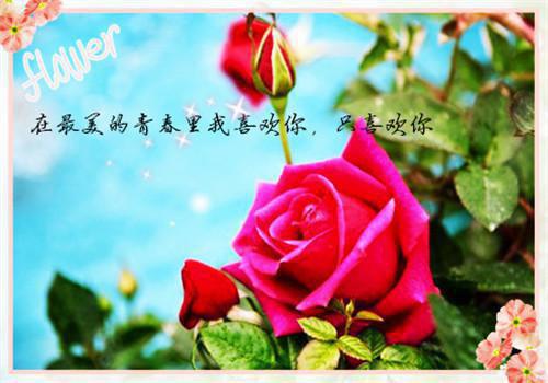 宋雅晴许诺许问舟傅云免费阅读目录 宋雅晴许诺许问舟傅云小说全文