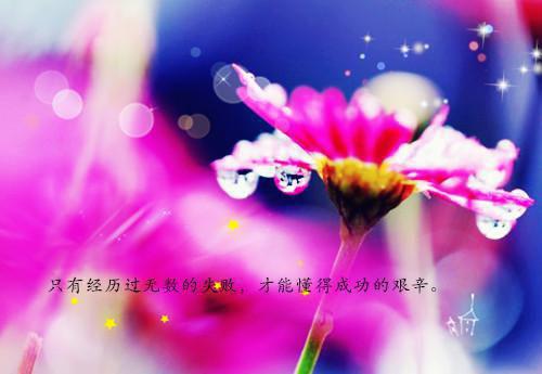 谢诗蕊霍昭珩：+后续+结局（霍昭珩谢诗蕊）最新章节列表_谢诗蕊霍昭珩：+后续+结局（霍昭珩谢诗蕊）谢诗蕊霍昭珩：+后续+结局在线阅读