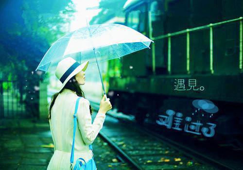 崔枝枝齐远《何处春江无月明：后续》小说在线阅读