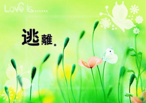 遇见你的薄雾时分(钟晚意周迟)无弹窗阅读