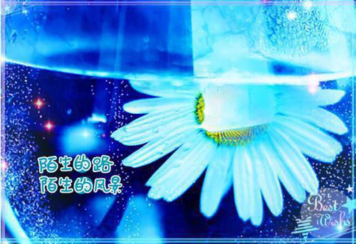 谢然傅臣识章节目录 假离婚后，前夫哥后悔了小说免费阅读无弹窗