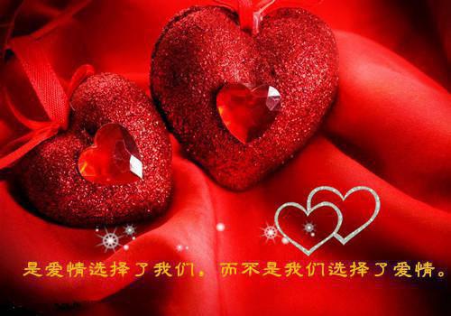 普罗旺斯的薰衣草花海免费阅读 陆庭深苏暖李响小说无弹窗