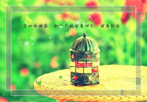 王茜陆顺宁小说名 互换人生后，我找到了自己的路小发发在线阅读