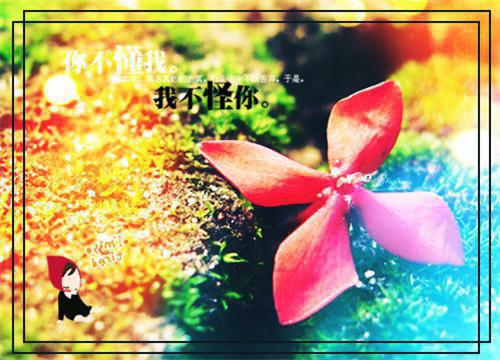 阮雾梨闻砚辞谢昀川（阮雾梨与闻砚辞全文：+结局+番外）全文免费阅读无弹窗大结局_阮雾梨闻砚辞谢昀川最新章节列表_笔趣阁（阮雾梨与闻砚辞全文：+结局+番外）