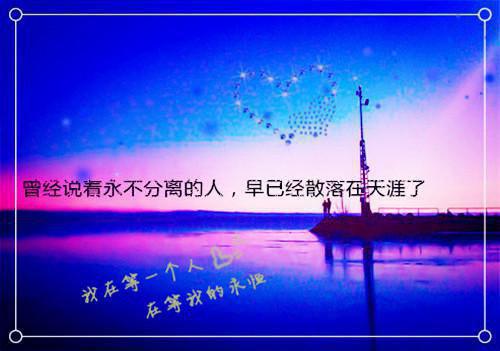 谢少愉沈珏大结局免费阅读 谢少愉沈珏全文小说