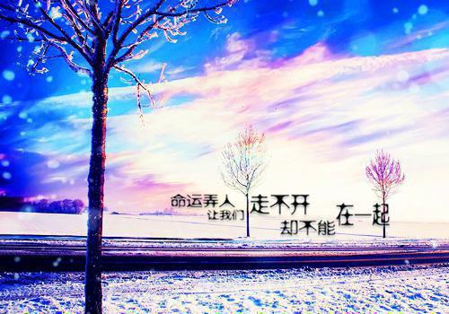 曹阳李燕小说叫什么 曹阳李燕小说全文免费阅读