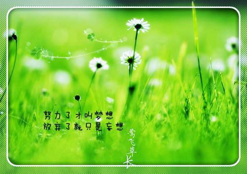 主角是殷茵程沐白的小说免费阅读全文大结局