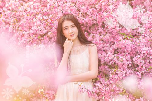 苏溪许诺免费阅读第3章 苏溪许诺大结局