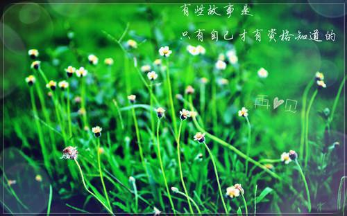 褪至腰际周京年陈禾无广告小说免费在线阅读
