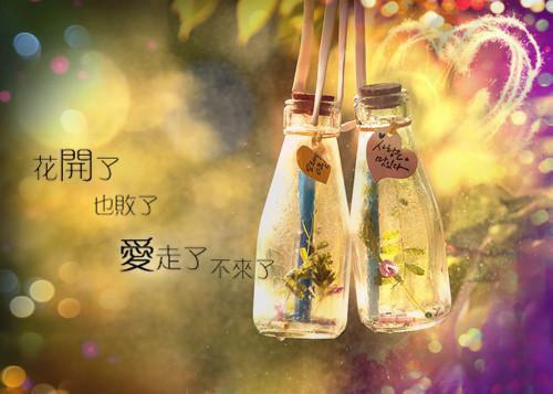 江靳年沈南枝（江靳年沈南枝）全文免费阅读无弹窗_（江靳年沈南枝全文免费阅读无弹窗）江靳年沈南枝最新章节列表