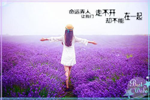 人在漫威：开局提问蜘蛛侠彼得·帕克尼克弗瑞全文免费阅读(已完结)