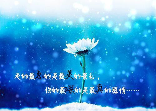 你揽星辰我拥黄昏：结局+番外爱恨纠葛全文阅读（尤雾眠晏沉舟）最新章节_你揽星辰我拥黄昏：结局+番外爱恨纠葛全文阅读