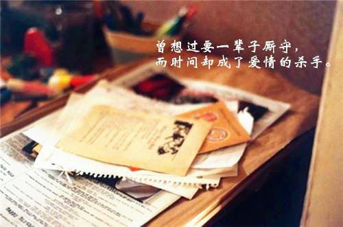 皇冠跌落云端：番外+完结,陆时予陆昭沈念卿(结局) 陆时予陆昭沈念卿免费阅读全文