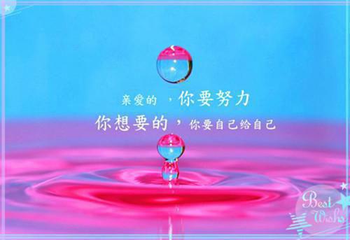沈晚音谢无渊是什么小说 沈晚音谢无渊全本免费阅读