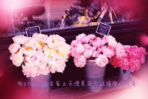 (番外)+(全文)产检报告一切正常，全家却都盼着我去死：+后续+结局（师成安茵茵）全文免费阅读无弹窗大结局_（产检报告一切正常，全家却都盼着我去死：+后续+结局免费阅读全文大结局）最新章节列表_笔趣阁（产检报告一切正常，全家却都盼着我去死：+后续+结局）