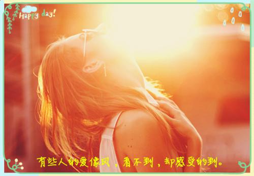 [完结]沈青禾霍沉洲火爆情节全章节阅读