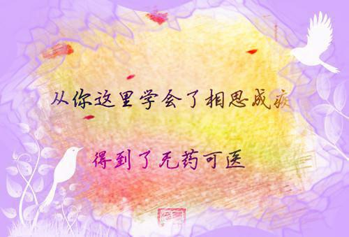 陈柏沈清欢免费全文无弹窗 妻子误把糖浆给女儿喝后，我离婚了小说在线阅读