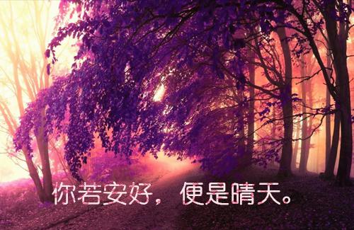 叶南笙徐敬亭小说叫什么名字 叶南笙徐敬亭全文免费阅读