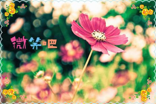 完结文土匪袭村时，他在陪白月光看电影人物讨喜最新章节列表_完结文土匪袭村时，他在陪白月光看电影人物讨喜全文免费阅读（吴明洋张双锁）