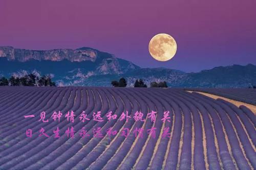 曾许你一世无忧（江芷纪寒琛）全文免费_（江芷纪寒琛）曾许你一世无忧后续阅读（江芷纪寒琛）