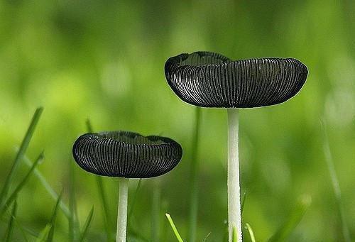 天才女友把论文一作让给她的学弟：全文乔岚苏沐哲修远无广告 乔岚苏沐哲修远在线免费阅读