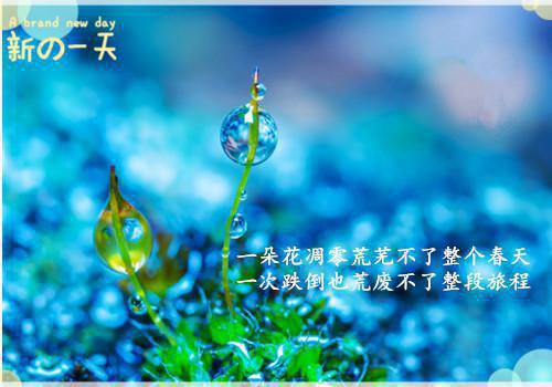另选他人绵延子嗣后，竹马他悔疯了免费读全文 裴逸钦苏婉婉小说无弹窗