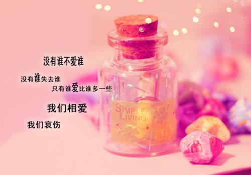 因为家里金毛撅屁股，我直接宣布退婚林砚辞沈若溪章节目录免费看