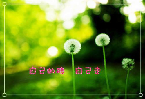 热文推荐贺枳筱吴琼恩小说（所有她爱的人都不爱她吴琼恩）前传列表