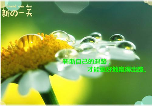 初见乍惊欢：+整本（沈意眠段钦言）最新推荐_最新推荐初见乍惊欢：+整本（沈意眠段钦言）