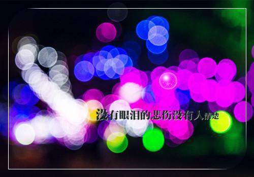 儿子的葬礼上，妻子的私生子开演唱会无广告 苏长青江枫在线免费阅读