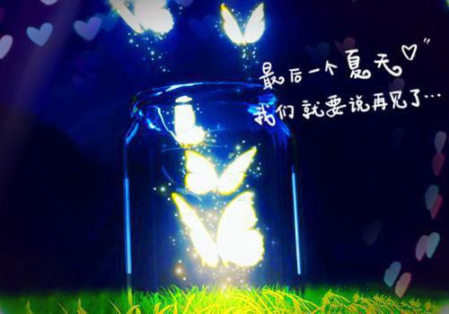撩完大佬后，他天天求负责免费阅读 阮棠周宴小说无弹窗