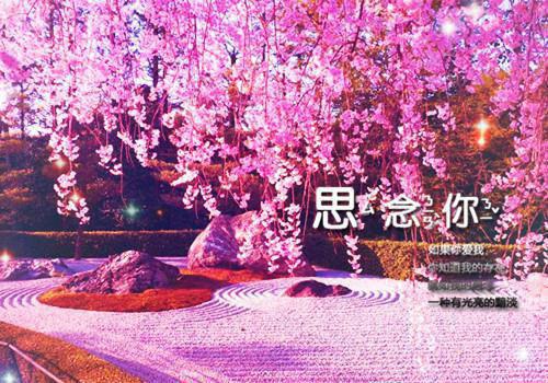 我陪顶流亲哥上综艺：全文江招林澄野最新更新 江招林澄野小说在线阅读