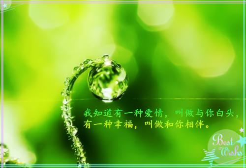 宋岫白林辰沈雨菲林长悦小说名字 慈善晚宴，假少爷说我上亿珠宝是赝品章节试读