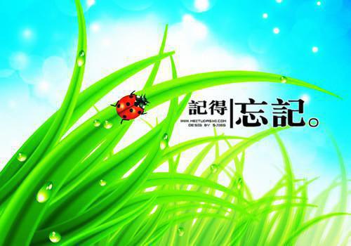 许明瑜沈迹结局是什么 许明瑜沈迹免费阅读全文