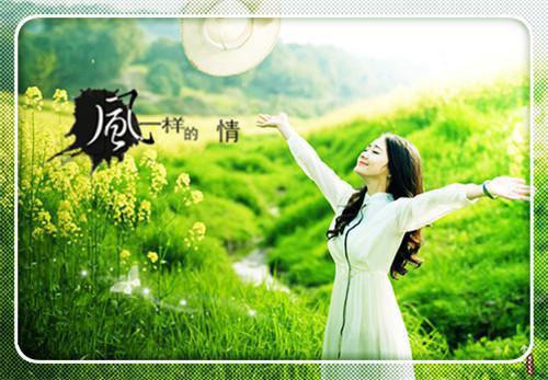 姜云宁贺临野小说叫什么 姜云宁贺临野小说全文免费阅读