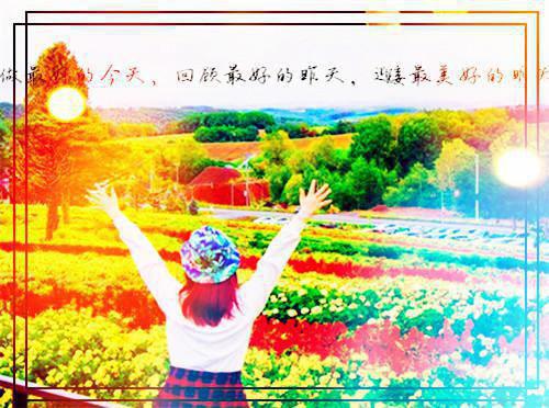 姜菡沈维免费阅读目录 姜菡沈维小说全文