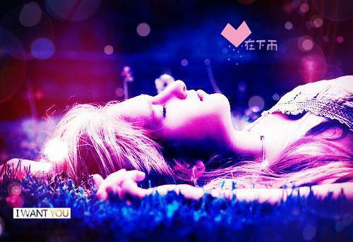 陆瑾深宋南音小说在线阅读 陆瑾深宋南音最新章节目录