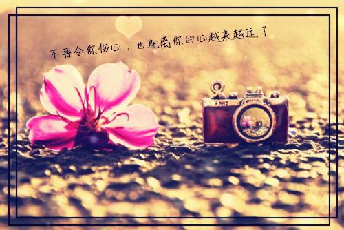 黎幼宁谢临安免费全文 黎幼宁谢临安小说在线阅读