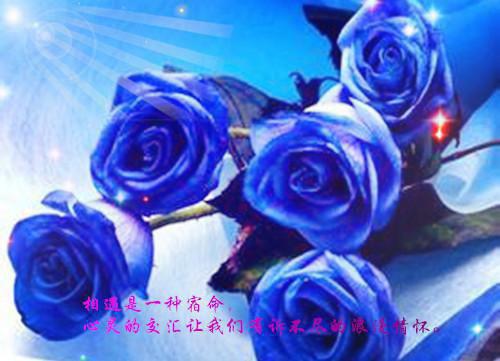 萤火撞星辰：全文+后续+结局（陆闻蹊江倾歌）最新章节列表_萤火撞星辰（陆闻蹊江倾歌）萤火撞星辰：全文+后续+结局在线阅读