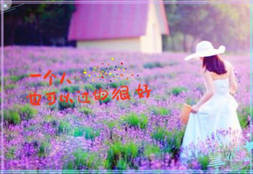 爱意凋零，流水送繁花小说(裴志远林婉月)章节阅读