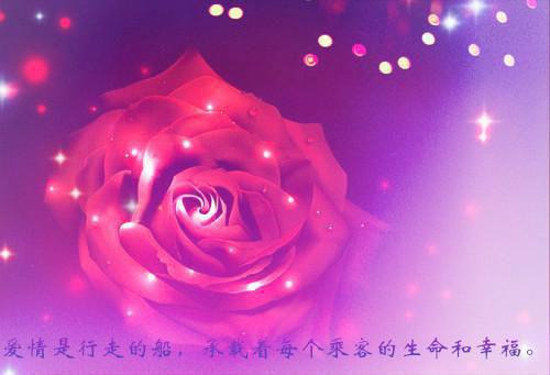 爱若有天意，兜转终可回：结局+番外（宋清澜萧沉）全文免费爱若有天意，兜转终可回：结局+番外无弹窗大结局_(爱若有天意，兜转终可回：结局+番外宋清澜萧沉免费阅读