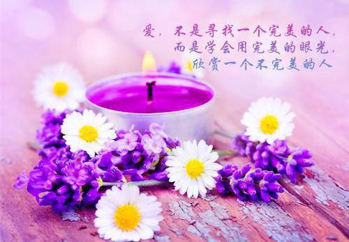 （书荒必看）陆裴司云岁晚小说(裹尸马革是红妆)无删减在线下载阅读最终终章